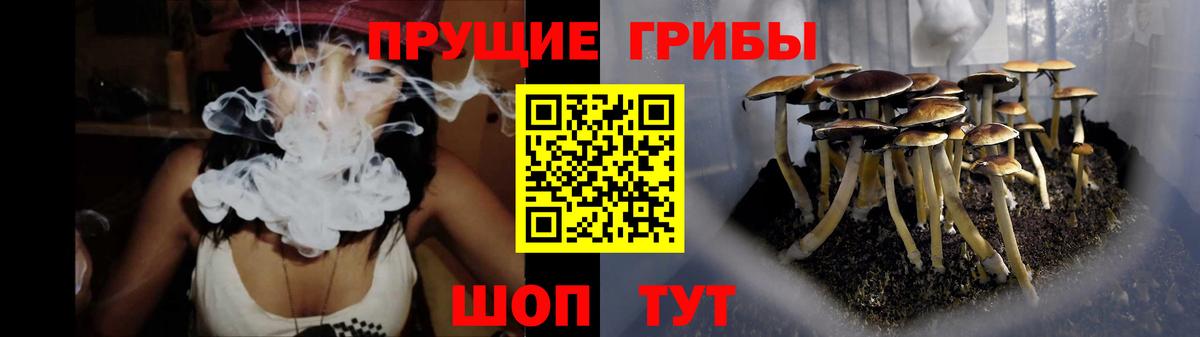 Ирбит  Галлюциногенные грибы Psilocybe  Псилоцибиновые грибы Cubensis  Вход с VPN 